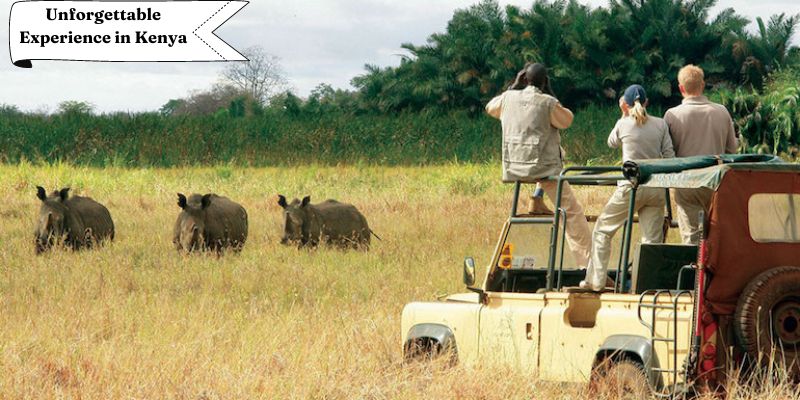 Discover the Ideal Time for an Unforgettable Experience in Kenya