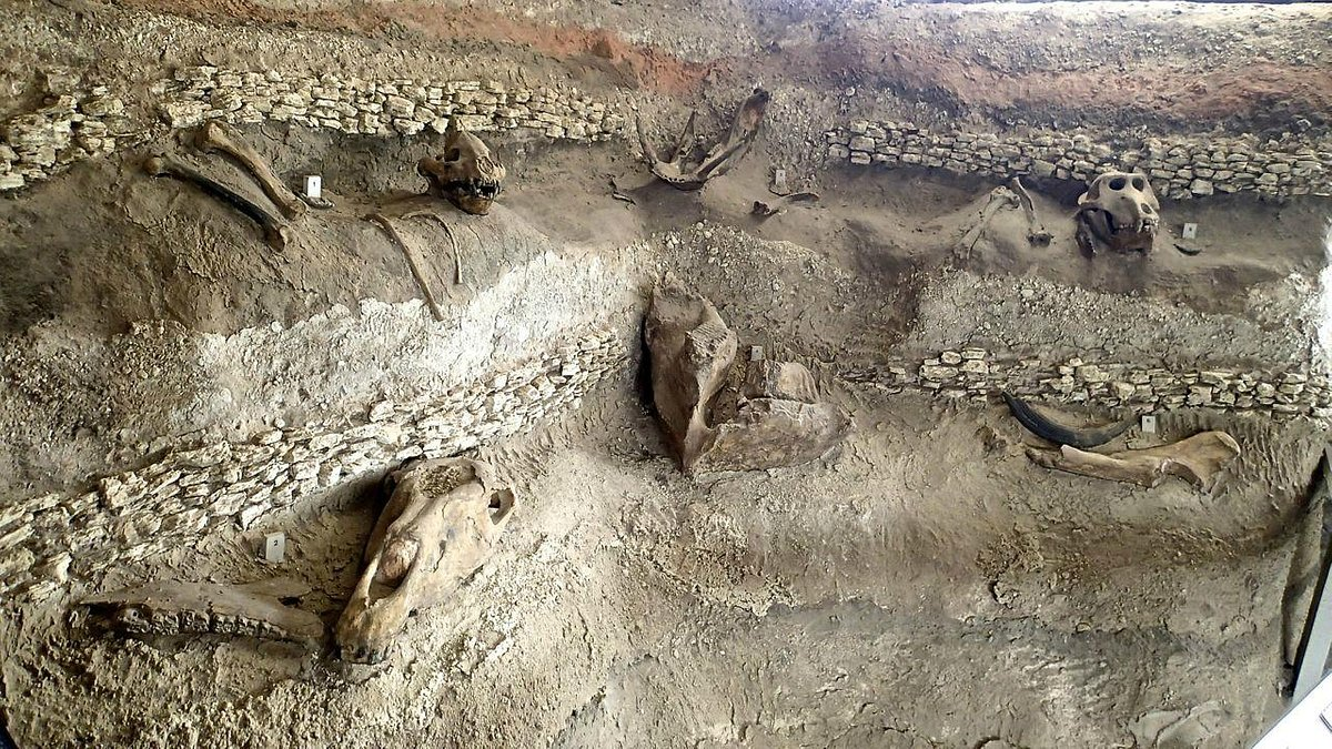 Significance of the Olorgesailie Prehistoric Site