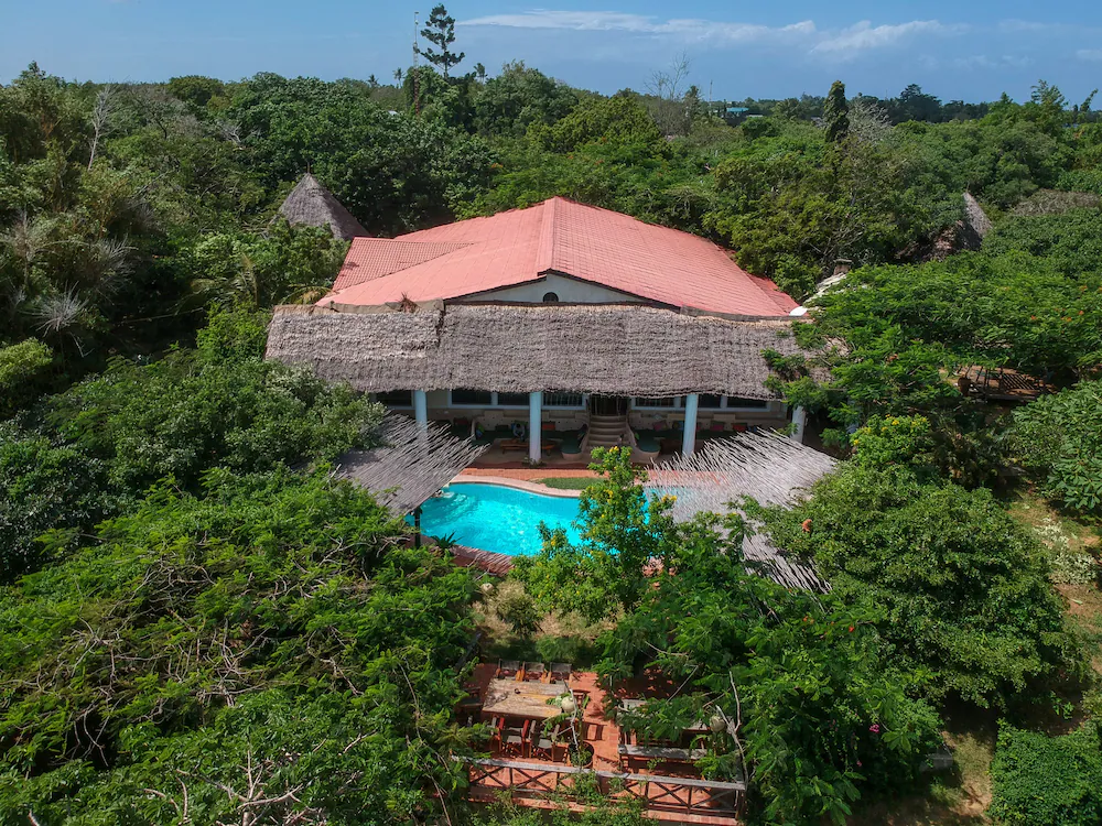transforming connections kilifi s backpacker hostel for distant relatives